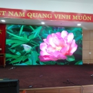 Lắp đặt màn hình led P3 cho Điện Lực Huế