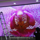 Màn hinh Led P3 - 8m2 Công ty Quốc Thắng Đà Nẵng