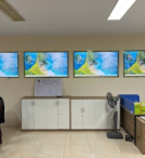 65-INCH 4K UHD ADVERTISING DISPLAY