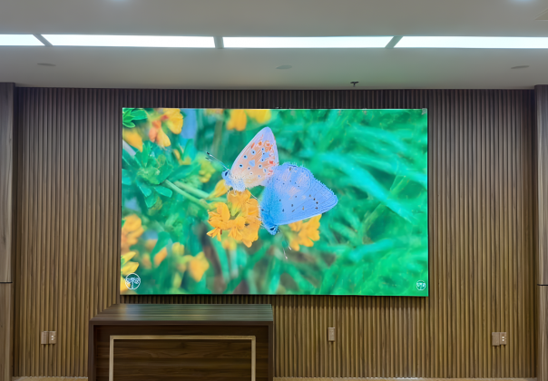 Màn hình LED P1.53 - ĐẠI HỌC BÁCH KHOA ĐÀ NẴNG