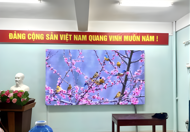 Màn Hình LED P2.5 - Trường mầm non Huế