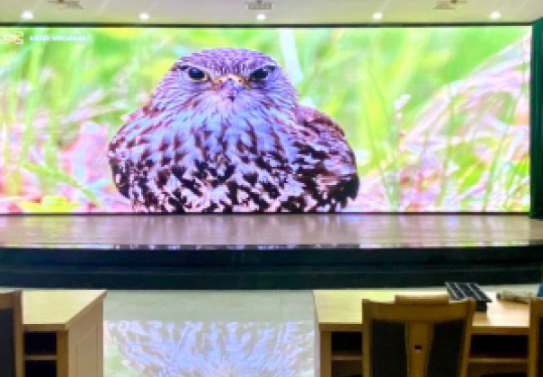 Màn hình LED P4 Trong nhà