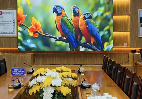 P2.5 LED DISPLAY PROJECT – HOA CUONG WARD PEOPLE'S COMMITTEE