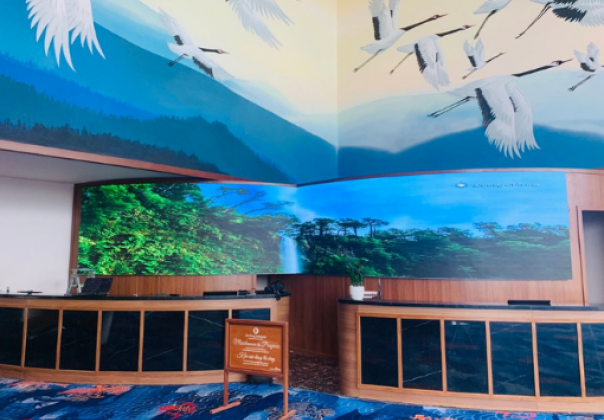 P2 CURVED LED SCREEN
