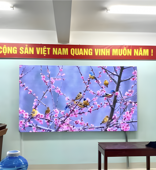 Màn Hình LED P2.5 - Trường mầm non Huế